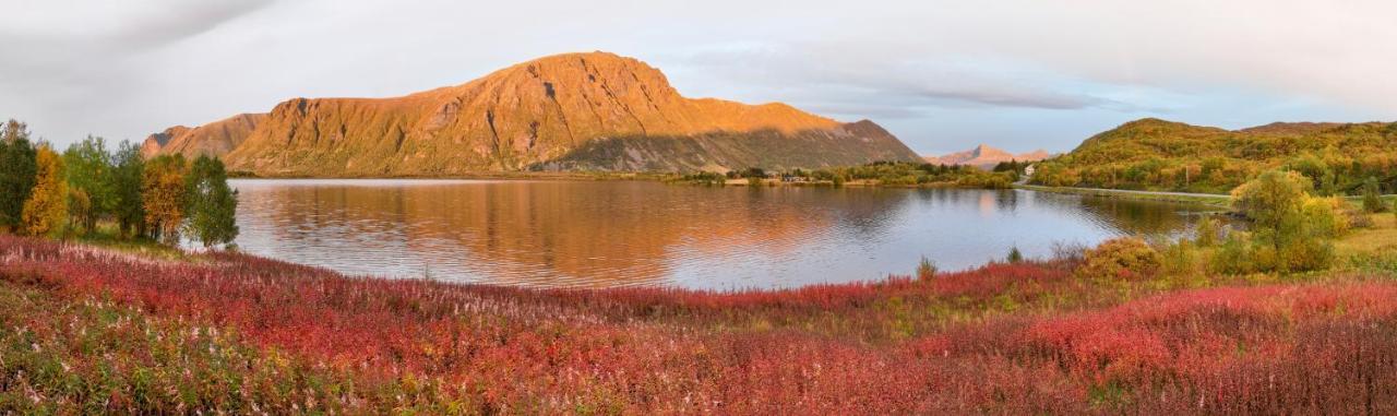 Wildlife Panorama Lofoten Bostad Bagian luar foto
