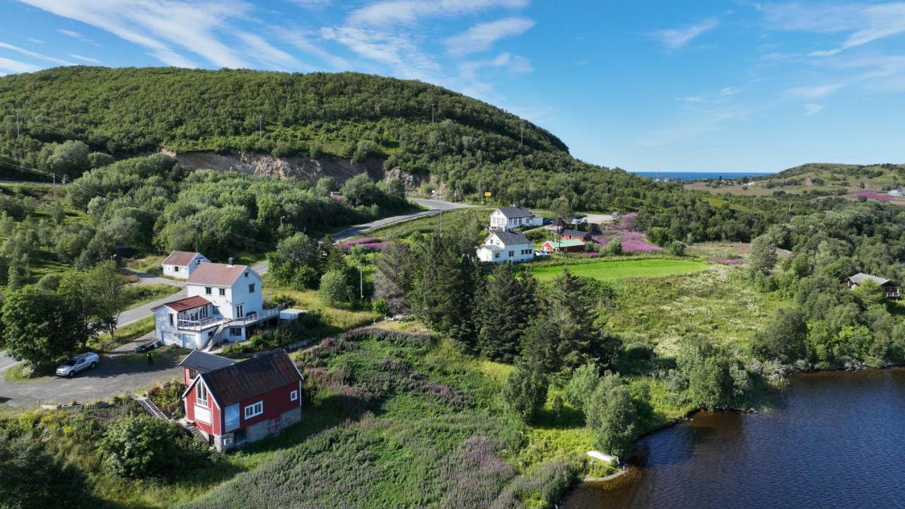 Wildlife Panorama Lofoten Bostad Bagian luar foto