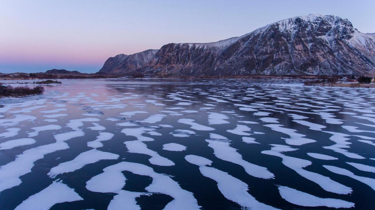 Wildlife Panorama Lofoten Bostad Bagian luar foto