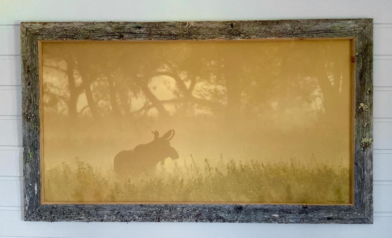 Wildlife Panorama Lofoten Bostad Bagian luar foto